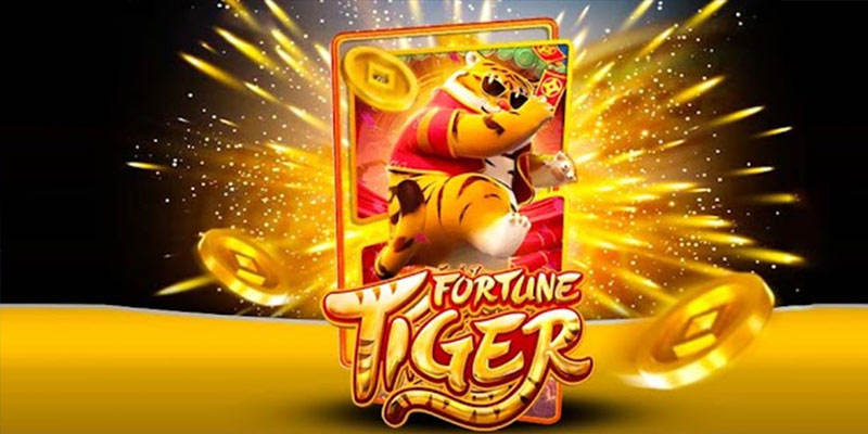 Quem é o Fortune Tiger 811bet.Com
